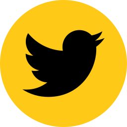 Raisa Finance twitter link
